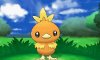 Torchic appears in battle