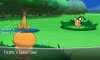 Torchic's Hidden Ability activates