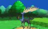 Xerneas  Appears