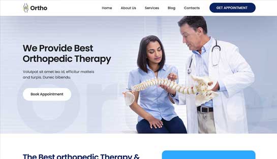 Orthopedic Therapy WordPress Theme