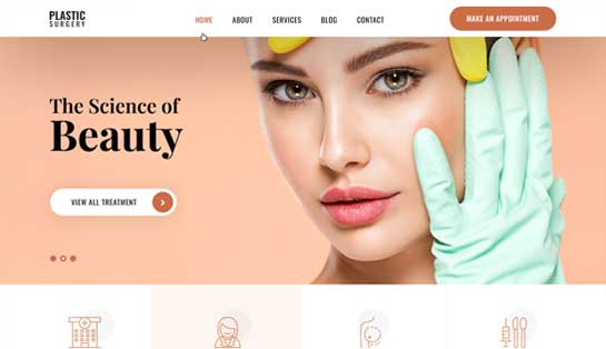 Plastic Surgery WordPress Theme