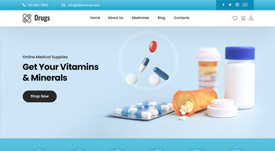 Drug Store WordPress theme