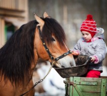 Gestresste Ponys?