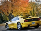 Ferrari 355 F1 Berlinetta, Plac, Drzewa