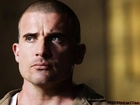 Dominic Purcell,niebieskie oczy