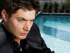 Jensen Ackles, Aktor