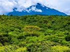 Afryka, Tanzania, Park Narodowy Aruszy, Góra, Roślinność, Drzewa, Chmury