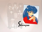 Ranma Nibun No Ichi, shampoo, kobieta