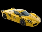 Edo, Competition, Ferrari Enzo, XX Evolution