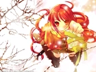 Shakugan No Shana, kokarda, drzewo