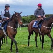 Brighterdaysahead (right) and Romeo Coolio at Leopardstown (Gary Carson/PA)