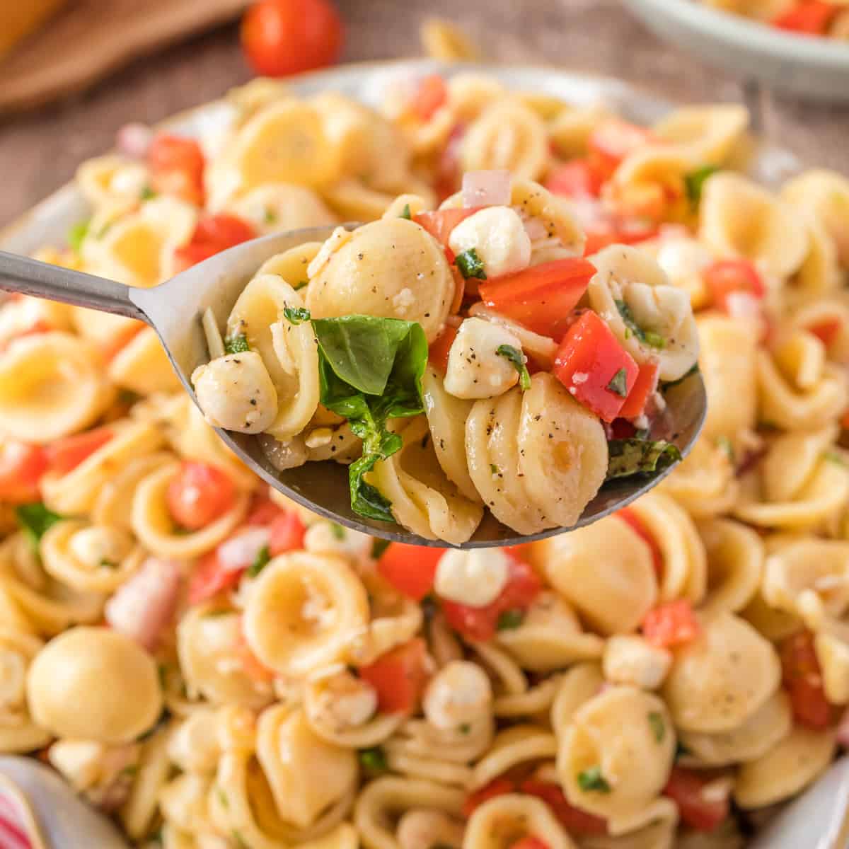 Square image close up of spoon holding up some of the Bruschetta Pasta Salad.