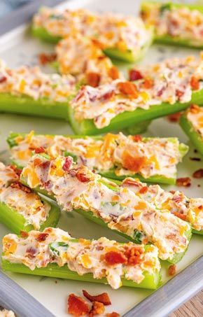 Appetizer Recipes