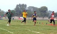 School organises sports gala