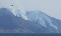 Thousands flee Japan’s biggest wildfire in decades