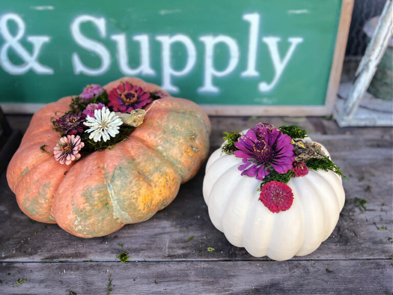 real and faux pumpkins with moss and zinnias