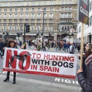 Rally in Central London