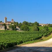 Bordeaux is famous for its wine!