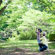 English Heritage has plenty of locations for bird spotting