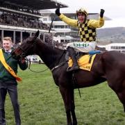 Cheltenham Gold Cup takes place this March