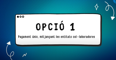 Pagament ÚNIC per l'import TOTAL de la matrícula