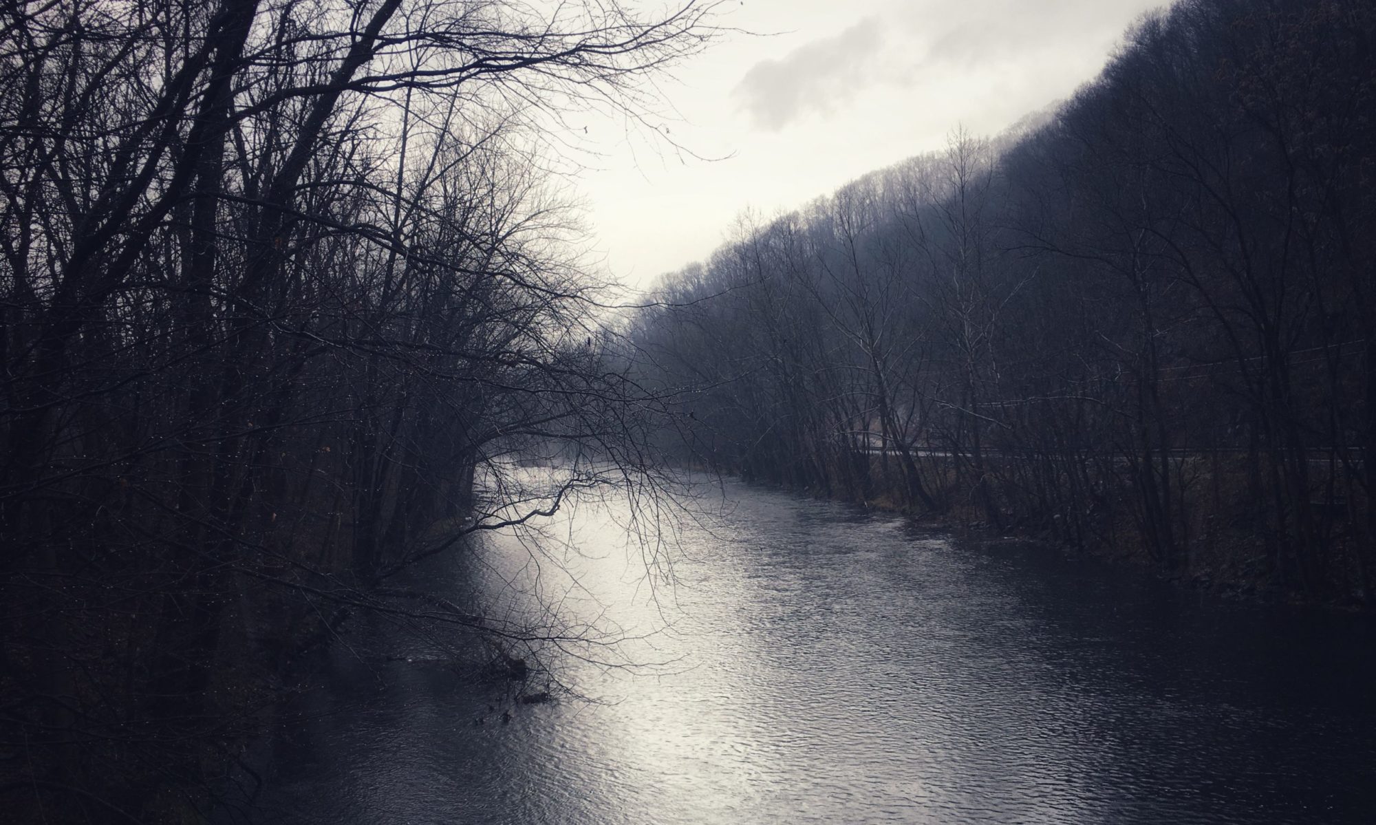 river in November light between bare woods and mountain