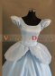 Adult Cheap Light Blue Cinderella Sandy Princess Dress 2