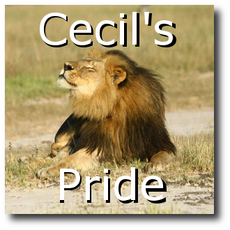 cecils_pride_thumbnail