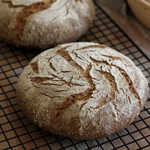 Seeded Sourdough with Multigrain Starter