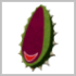 Icon Plantagrandasamen-twwinseln.png